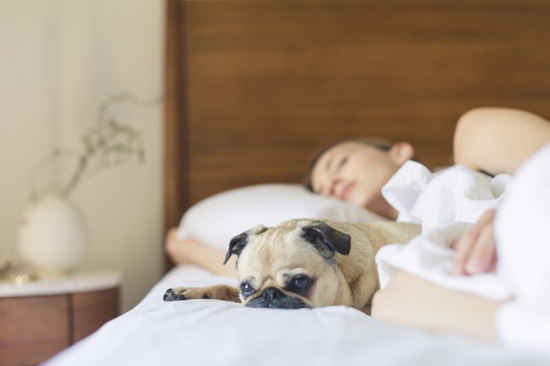 Getting A Good Night’s Sleep.