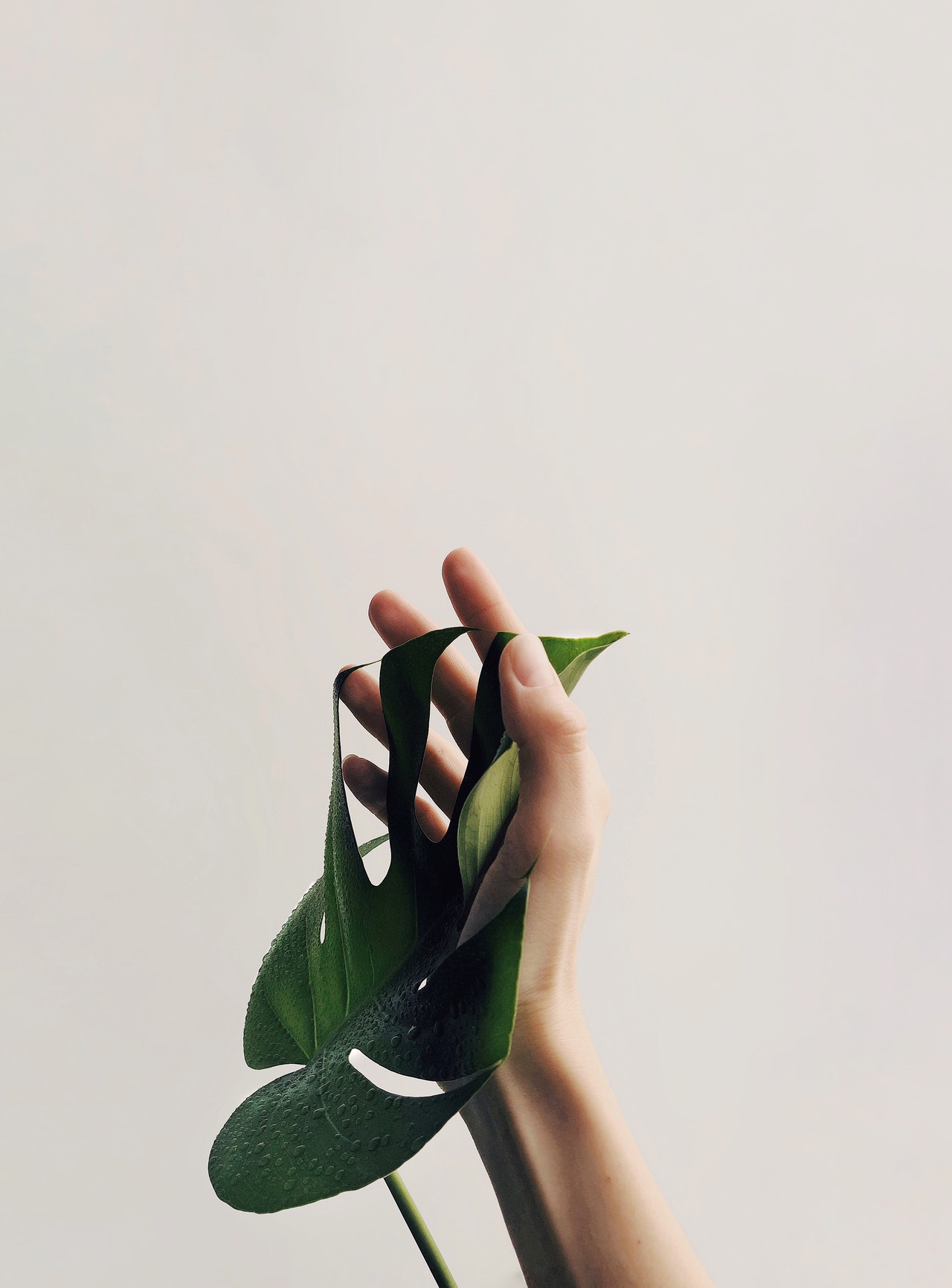 3 Essential Tips To Help You Ease Into A Minimalist Life.