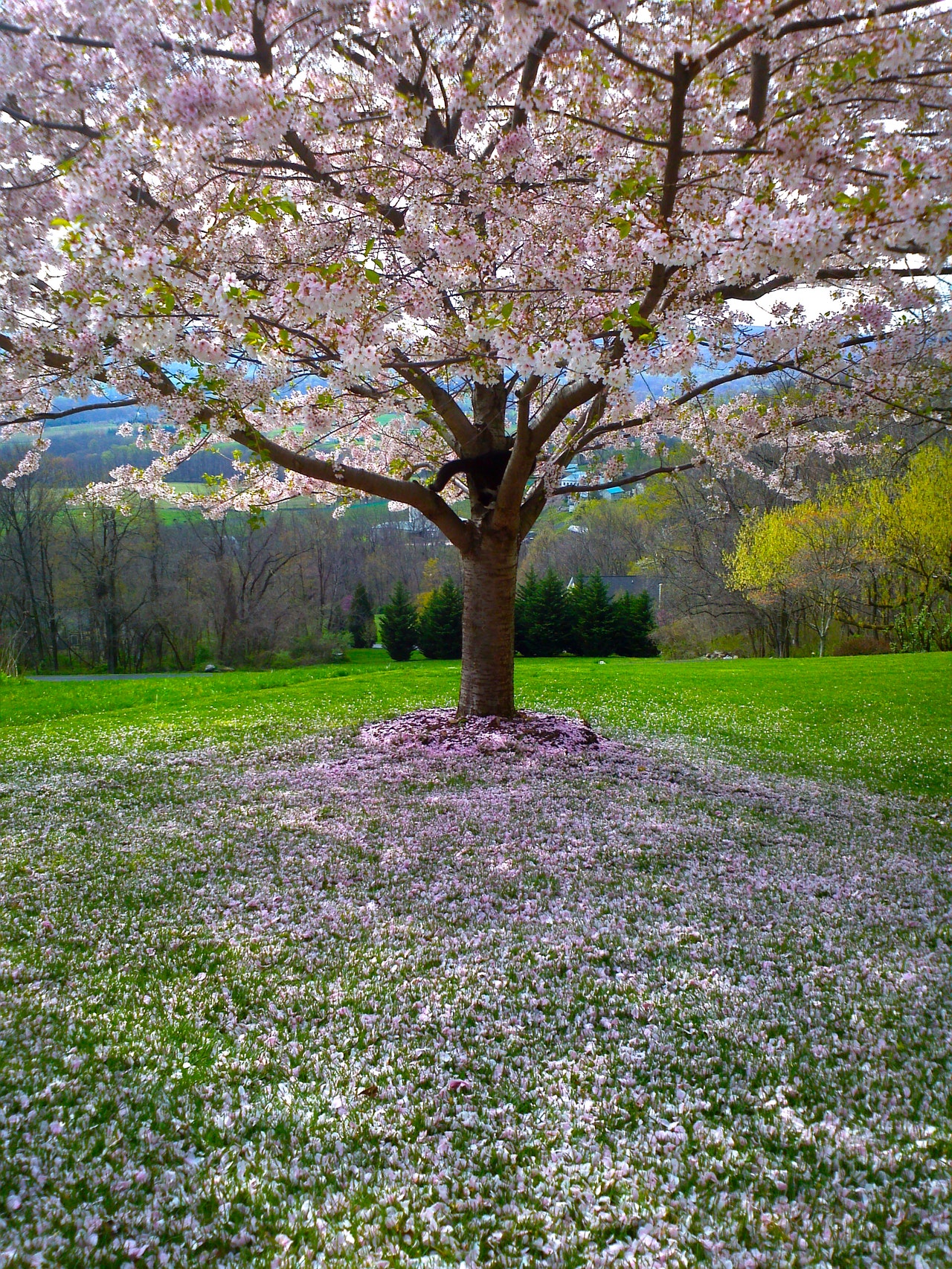The Learning Opportunities Lurking In Your Garden.