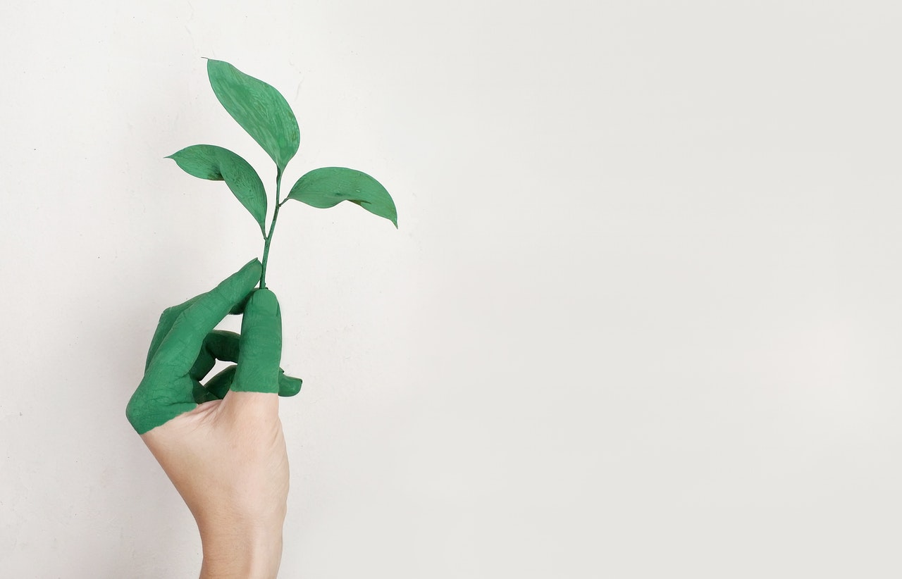 Yes, You Can Be Eco-Friendly At Home On A Budget!