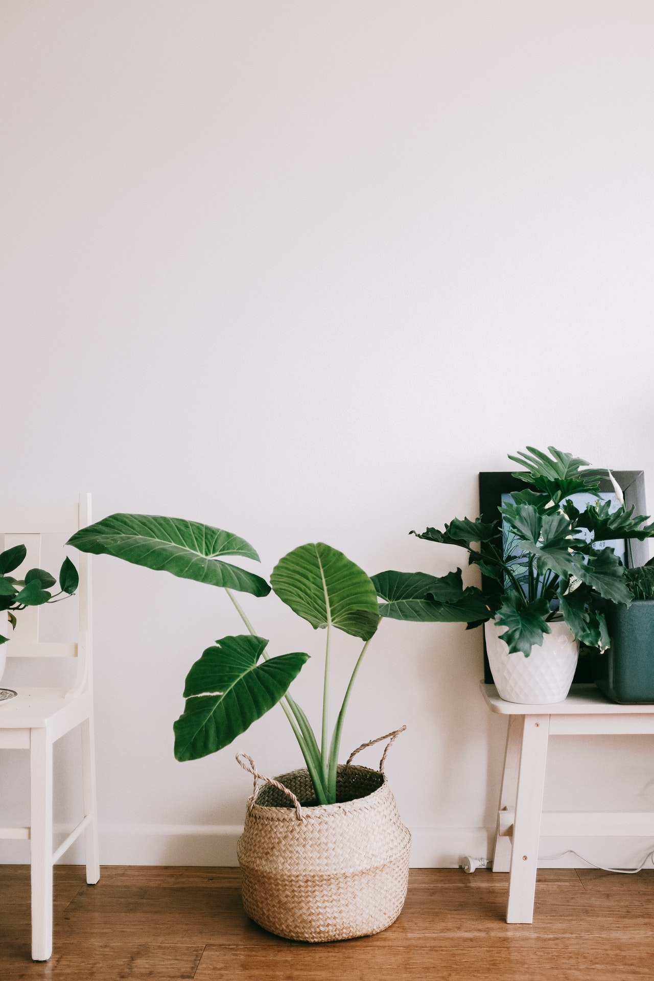 The Benefits Of Increasing Natural Light At Home.
