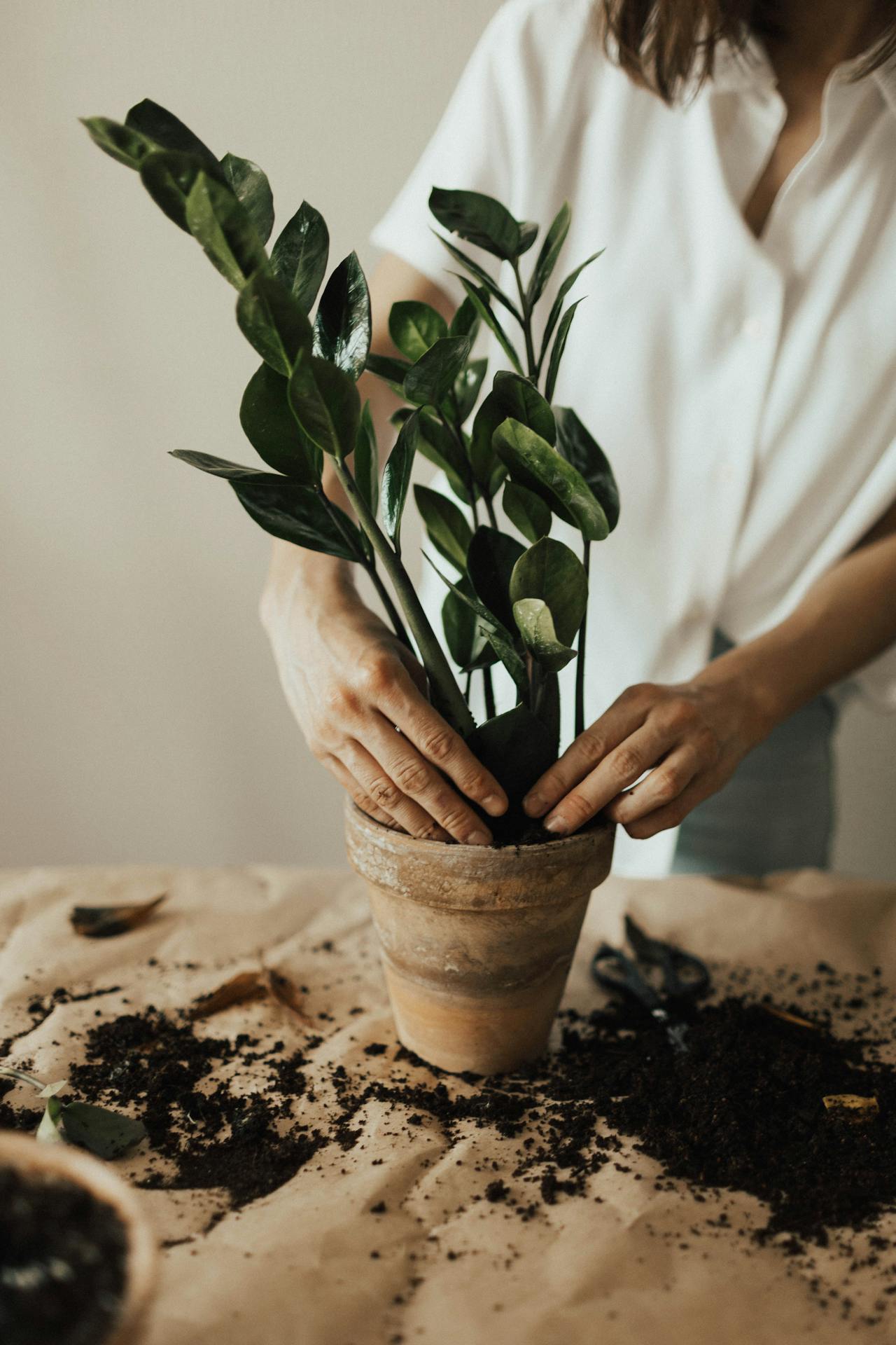 How To Give Your Home A Natural Feel.