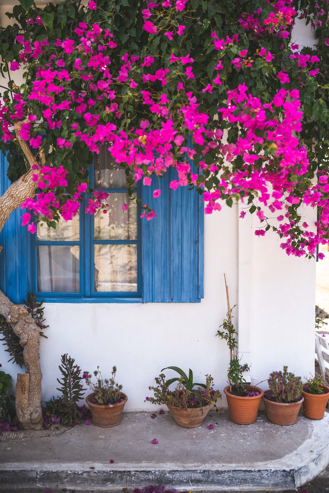 Tips For Designing The Ultimate Outdoor Space.