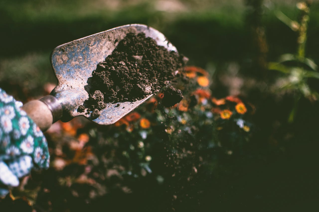 How To Create A Relaxing Garden.