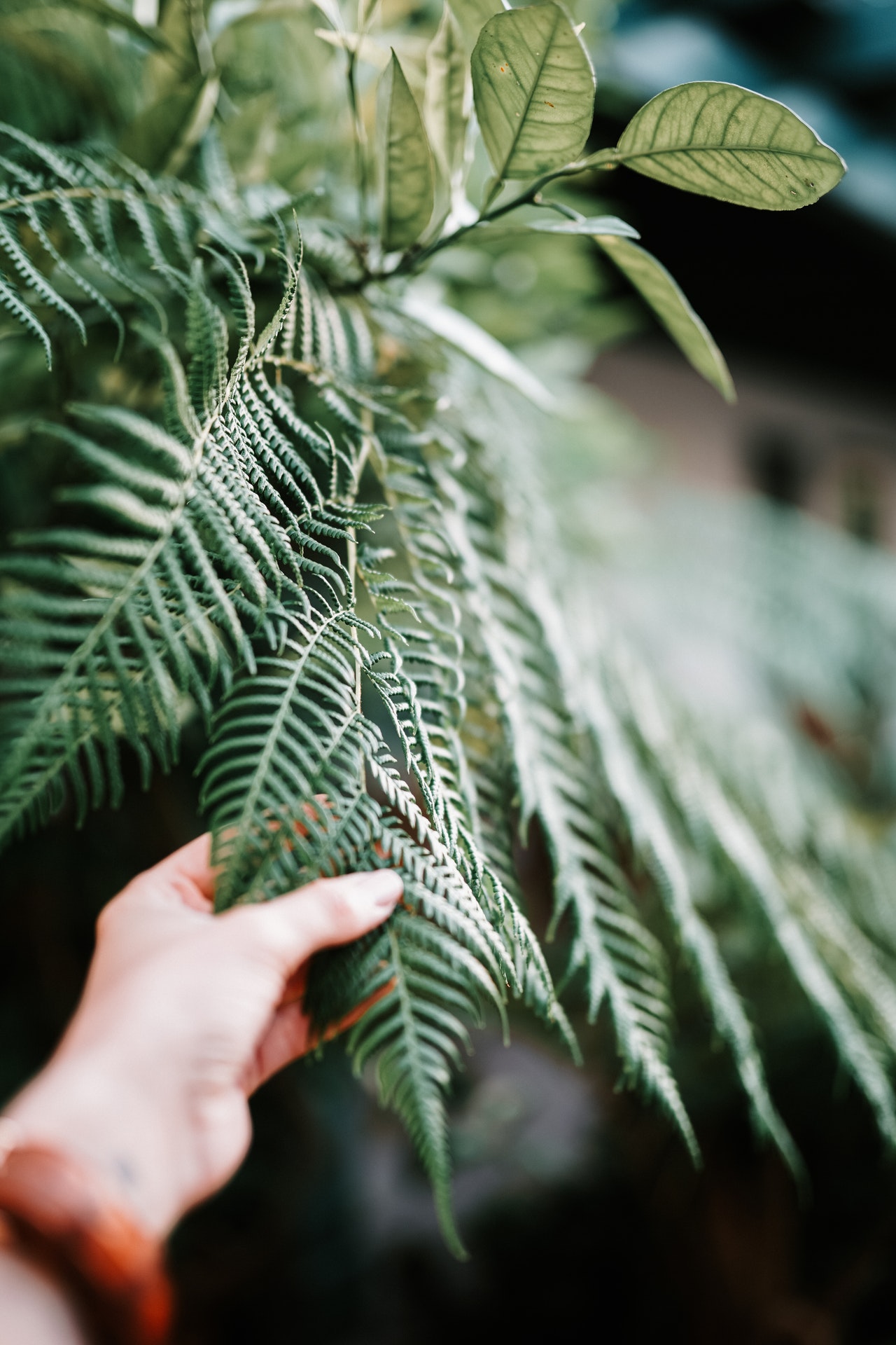 Great Tips For Keeping Your Garden Looking Amazing Throughout The Year.