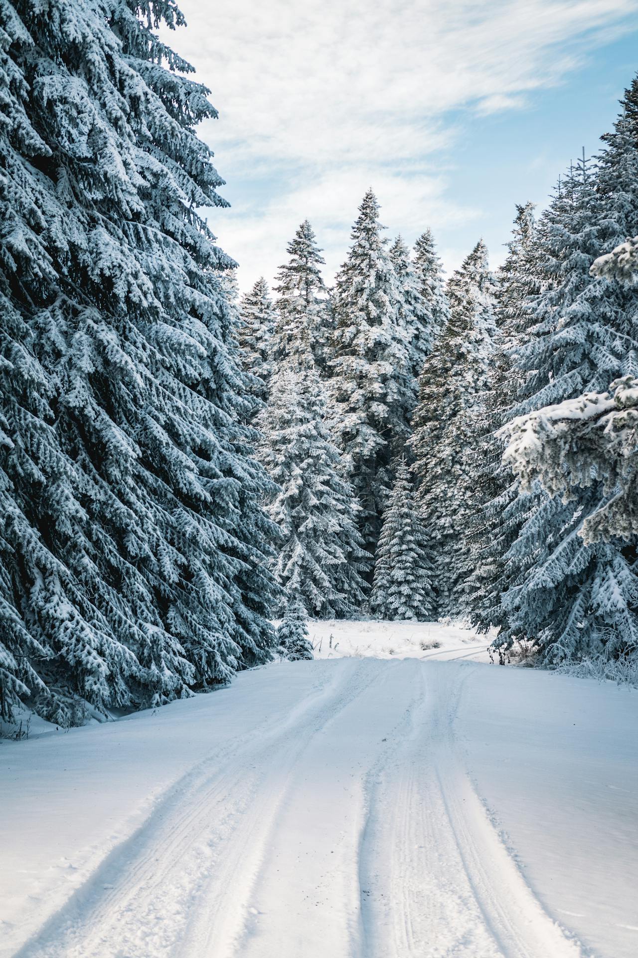 Ways To Keep Active Over The Winter Months.
