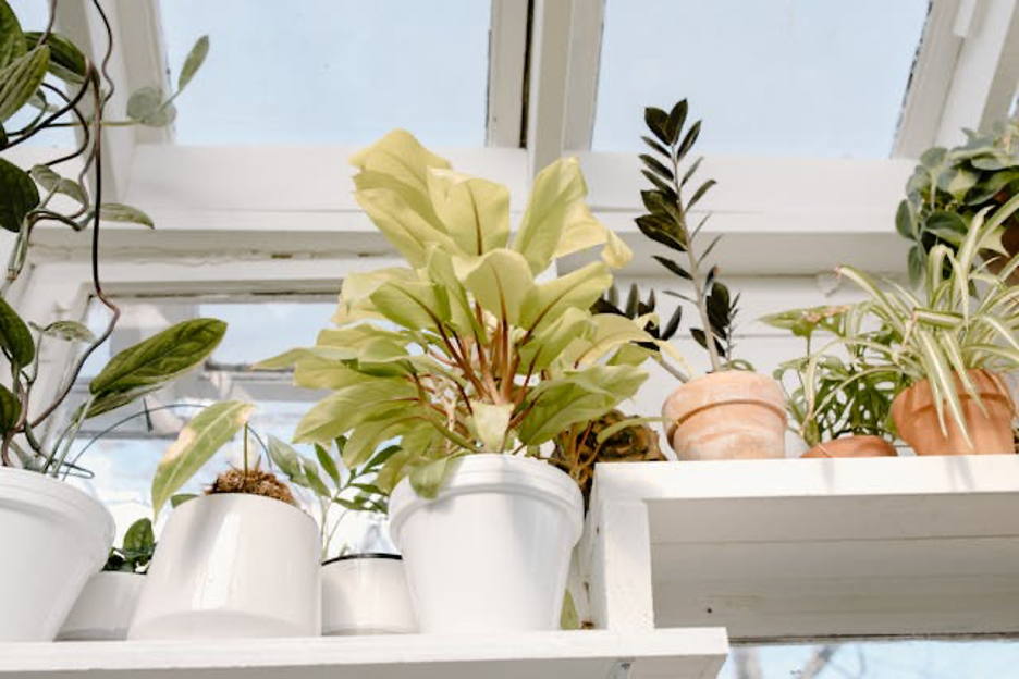 Upgrade Your Conservatory Roofs in Shropshire: Enhance Comfort.