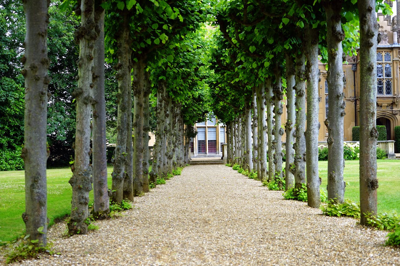The Estate Planning Secrets Wealthy Families Don’t Want You to Know.