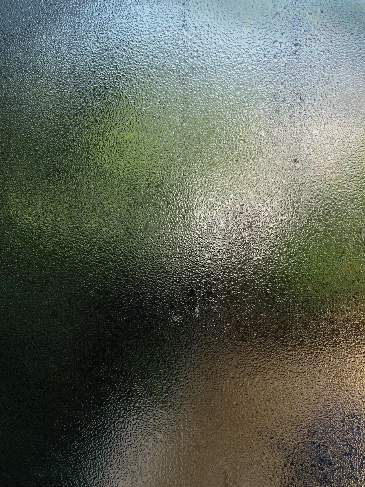 Spotting the Signs of Damp Before It’s Too Late.