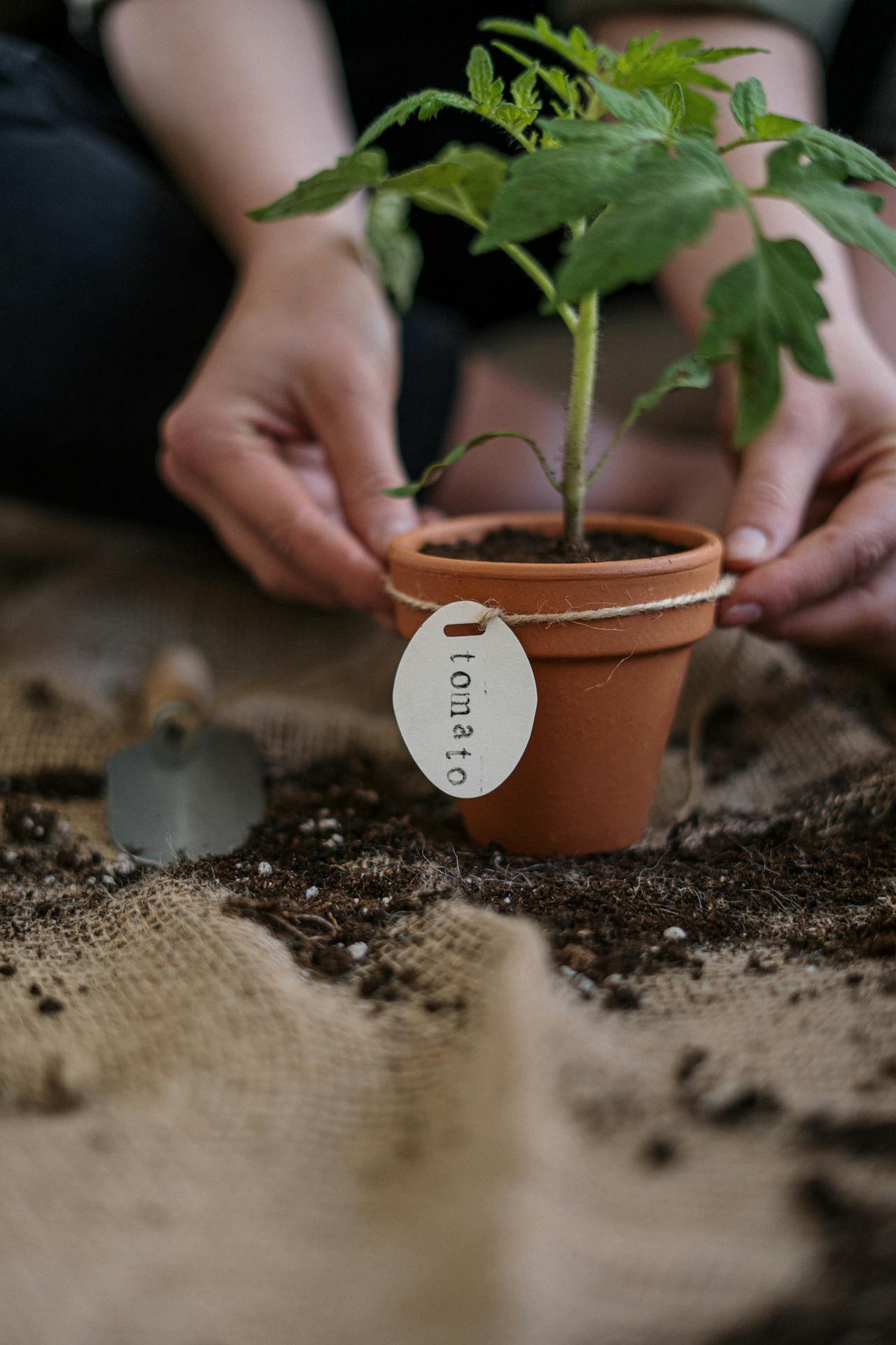 7 Manageable Eco-Friendly Garden Care Tips.
