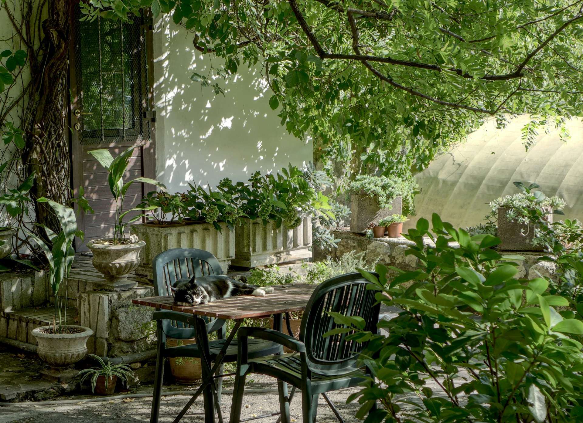 Three Tips To Improve Your Garden.