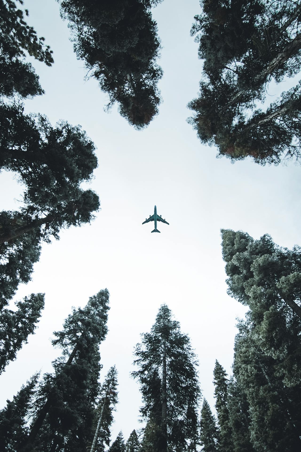 How To Get Cheap Flight Tickets: Your Ultimate Guide.