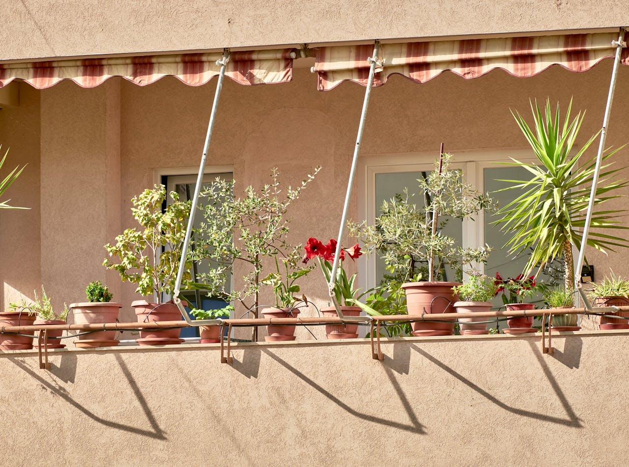 Small-Space Garden Hacks With Big Impact.