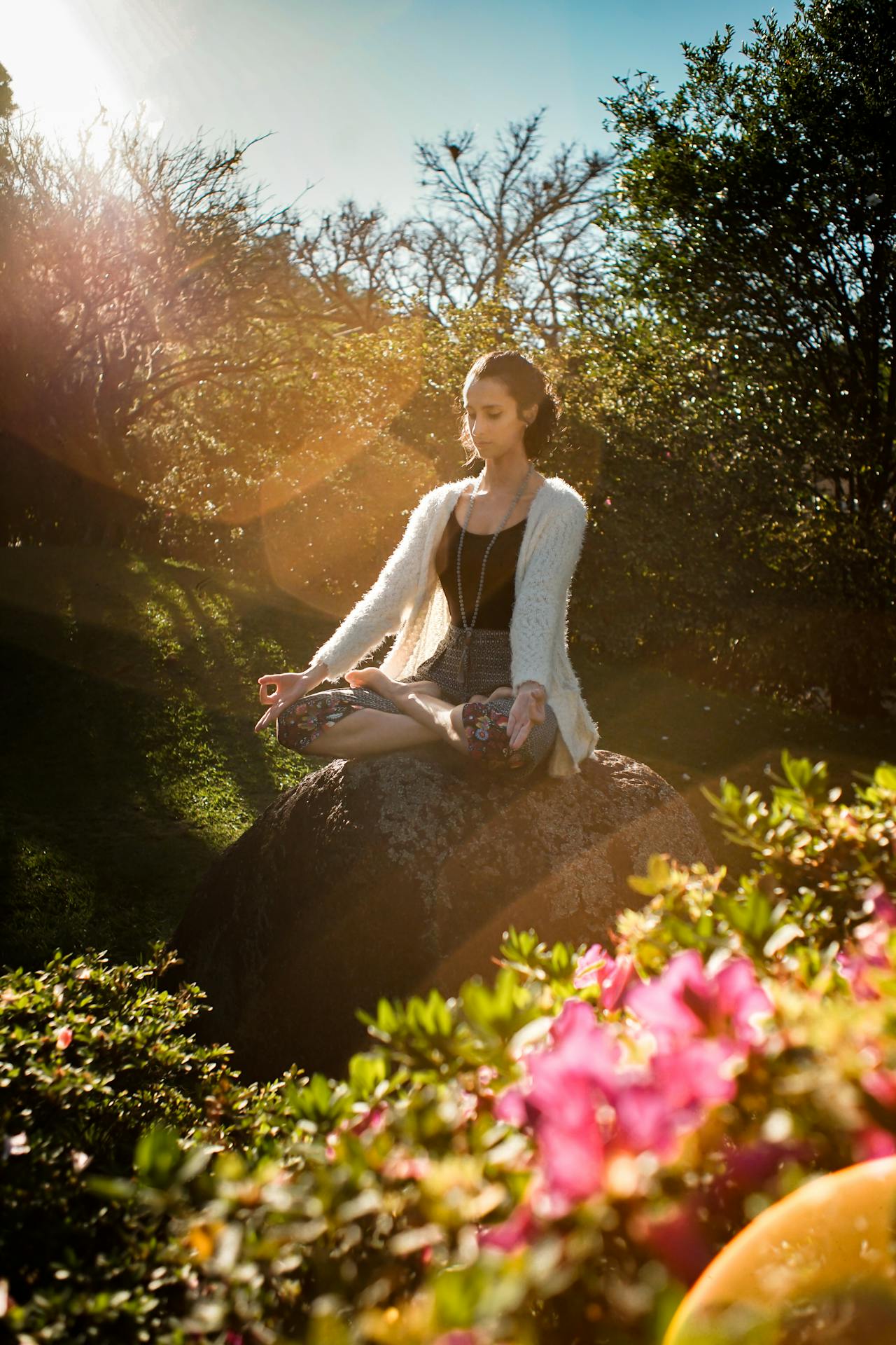 Wellness Products Driving The Shift in Beauty And Health Markets.