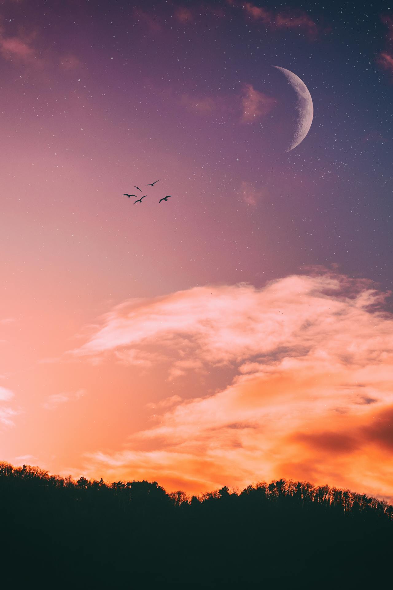 Creative Ways To Gift The Night Sky.