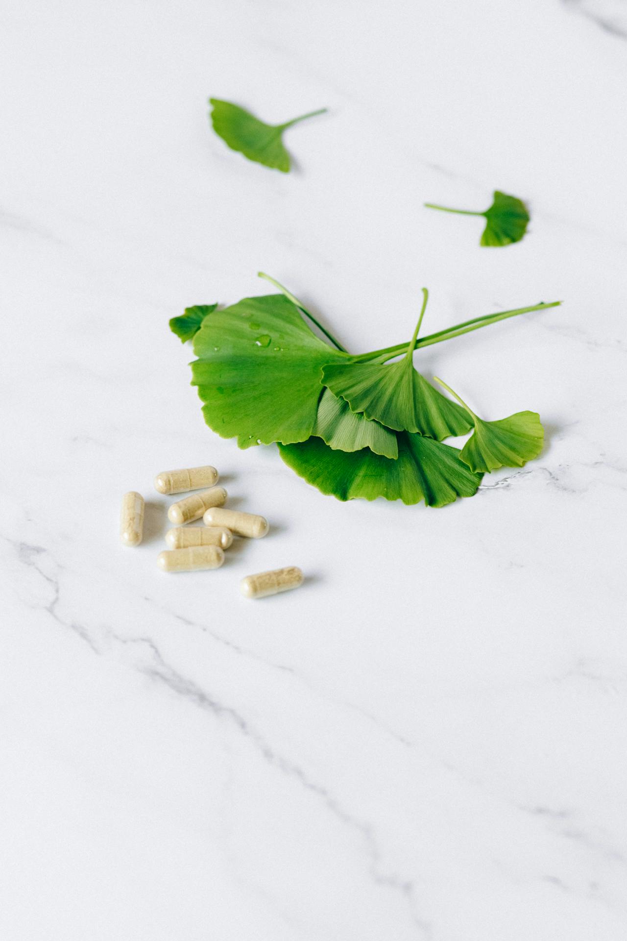 A Closer Look At Plant-Based Health Alternatives.